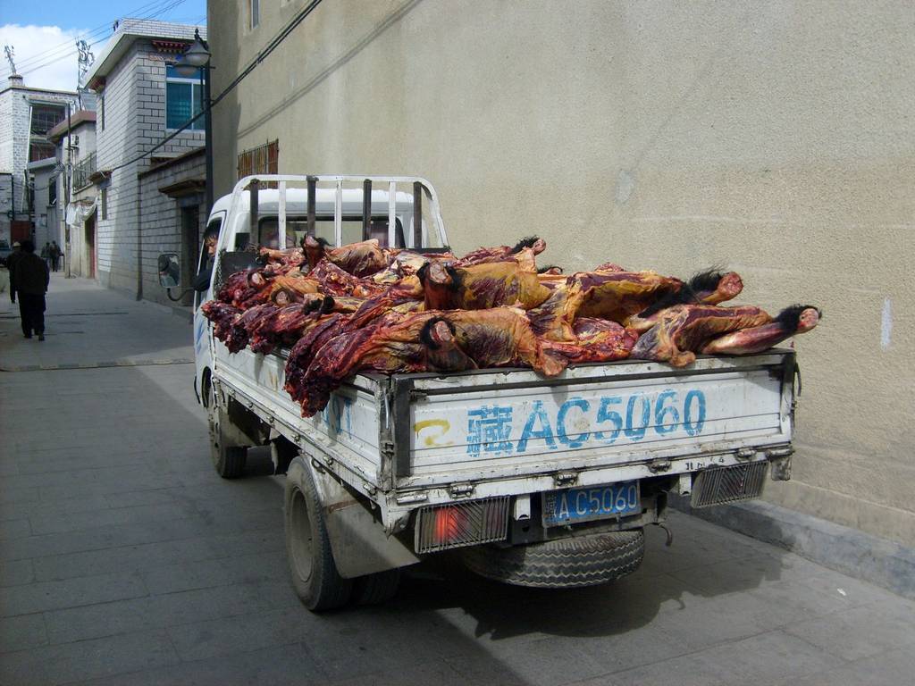 Voyage classique au Tibet